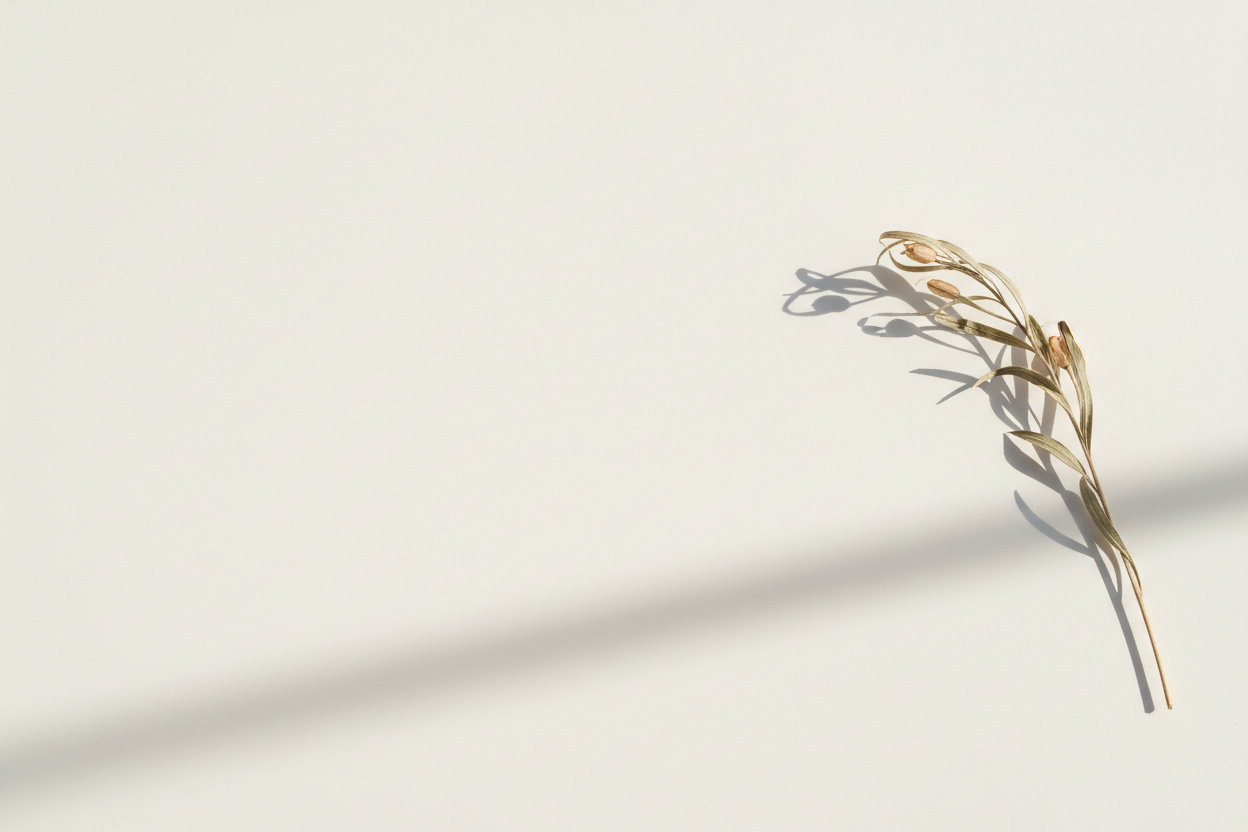 Minimalist Brand Story Background